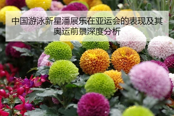 中国游泳新星潘展乐在亚运会的表现及其奥运前景深度分析